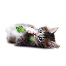 Іграшка для кішок Catstages Fresh Breath Mint Stick М'ятна паличка 3,2x11,4x0,6 см (pt335)