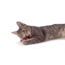 Іграшка для котів Petstages Catnip Plaque Away Pretze Крендель з котячою м'ятою 7см (pt333)