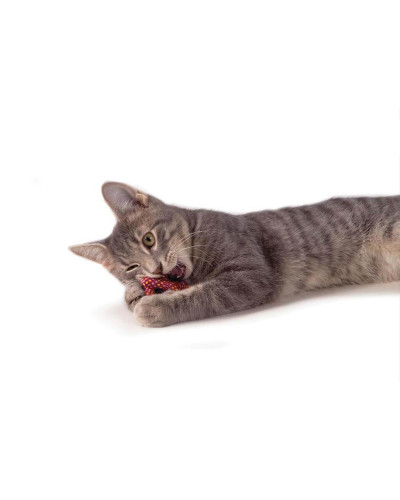 Іграшка для котів Petstages Catnip Plaque Away Pretze Крендель з котячою м'ятою 7см (pt333)