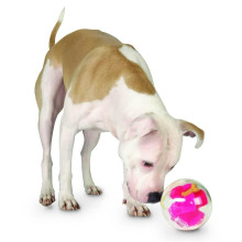 Игрушка для собак Planet Dog Mazee (Маззи мяч-лабиринт) d=12,5 см (pd68793)
