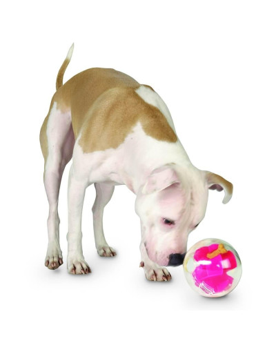 Игрушка для собак Planet Dog Mazee (Маззи мяч-лабиринт) d=12,5 см (pd68793)