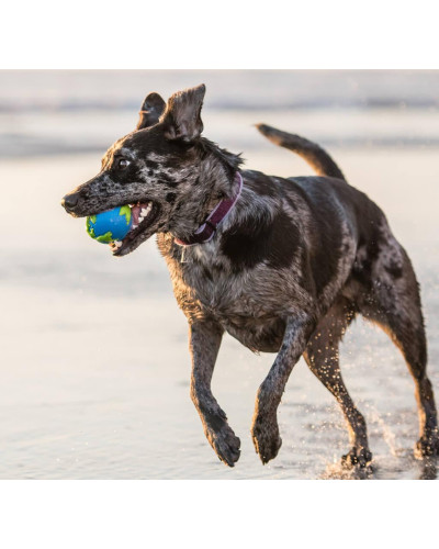 Игрушка для собак Planet Dog Orbee Ball (Орби Болл мяч) d=10 см (pd68667)
