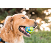 Игрушка для собак Planet Dog Orbee Ball (Орби Болл мяч) d=5,5 см (pd68669)