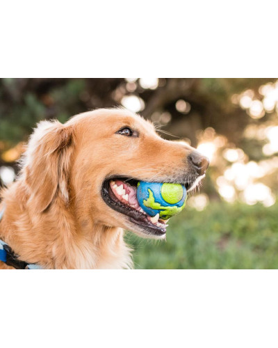 Игрушка для собак Planet Dog Orbee Ball (Орби Болл мяч) d=10 см (pd68667)