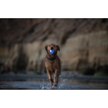 Игрушка для собак Planet Dog Strobe Ball White (Стробе Болл) светящийся мяч 7 см Белый (pd68805)