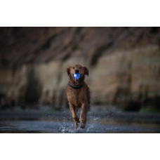Игрушка для собак Planet Dog Strobe Ball Blu (Стробе Болл) светящийся мяч голубой d=7см (pd68804)