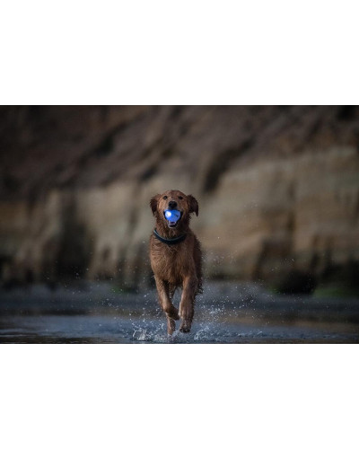 Игрушка для собак Planet Dog Strobe Ball Blu (Стробе Болл) светящийся мяч голубой d=7см (pd68804)