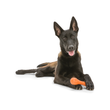 Игрушка для собак West Paw Zogoflex Hurley Bone кость 21 см Оранжевый (ZG011TNG)