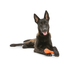 Игрушка для собак West Paw Zogoflex Hurley Bone кость 21 см Оранжевый (ZG011TNG)