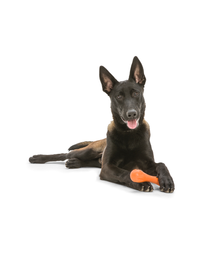 Игрушка для собак West Paw Zogoflex Hurley Bone кость 21 см Салатовый (ZG011GRN)