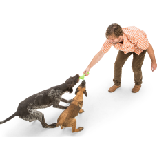 Игрушка для собак West Paw Zogoflex Skamp Три Лепестка 20 см Cалатовый (BZ031JGR)