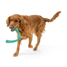 Игрушка для собак West Paw SeaflexSnorkl 21 см Гибискус (SF051HIB)