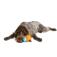 Игрушка для собак West Paw Zogoflex Toppl для лакомства 8 см Салатовый (ZG083GRN)