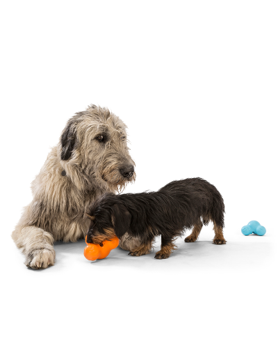 Игрушка для собак West Paw Zogoflex Tux Treat для лакомства 13 см Голубой (ZG041AQA)
