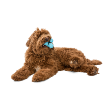 Игрушка для собак West Paw Zogoflex Tux Treat для лакомства 10 см Голубой (ZG040AQA)
