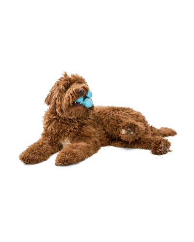 Игрушка для собак West Paw Zogoflex Tux Treat для лакомства 13 см Голубой (ZG041AQA)
