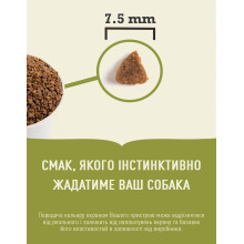 Сухий корм для кошенят всіх порід ACANA First Feast Перший Бенкет 340 г (a71428)