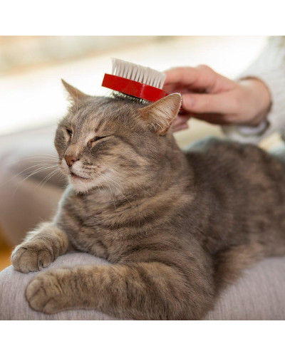 Мийна піна Vet`s Best Waterless Cat Bath експрес-чистка без води для котів 118 мл (vb10111)