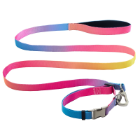 AnimAll ошейник+поводок, panton 1, 25/420-520/1800 мм