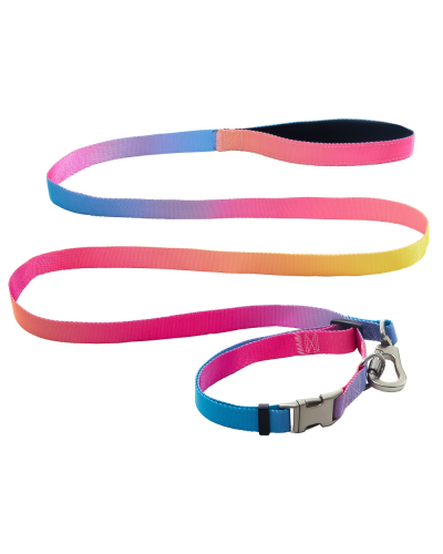 AnimAll ошейник+поводок, panton 1, 25/420-520/1800 мм