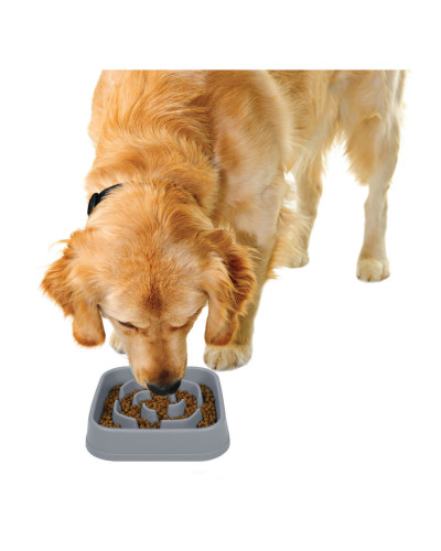 Миска для собак Dexas Slow Maze Feeder Dog Bowl для медленного кормления квадрат 960мл серый (PW304429)