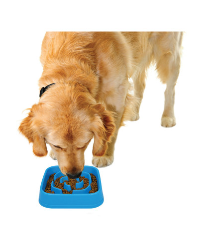 Миска для собак Dexas Slow Maze Feeder Dog Bowl для медленного кормления квадрат 960мл голубой (PW3042194)