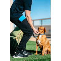 Сумка під ласощі для собак Dexas Pooch Pouch силіконова з кліпсою на пояс Блакитний (PW6002194)