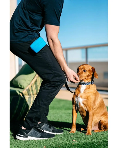 Сумка під ласощі для собак Dexas Pooch Pouch силіконова з кліпсою на пояс Блакитний (PW6002194)