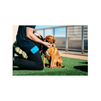 Сумка під ласощі для собак Dexas Pooch Pouch силіконова з кліпсою на пояс Блакитний (PW6002194)