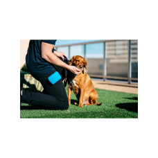 Сумка під ласощі для собак Dexas Pooch Pouch силіконова з кліпсою на пояс Блакитний (PW6002194)