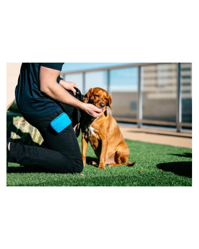 Сумка під ласощі для собак Dexas Pooch Pouch силіконова з кліпсою на пояс Блакитний (PW6002194)