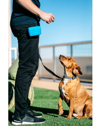 Сумка під ласощі для собак Dexas Pooch Pouch силіконова з кліпсою на пояс Блакитний (PW6002194)