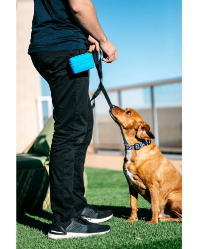 Сумка під ласощі для собак Dexas Pooch Pouch силіконова з кліпсою на пояс Блакитний (PW6002194)