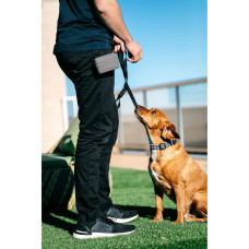 Сумка під ласощі для собак Dexas Pooch Pouch силіконова з кліпсою на пояс Сірий (PW600429)