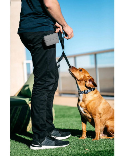 Сумка під ласощі для собак Dexas Pooch Pouch силіконова з кліпсою на пояс Сірий (PW600429)