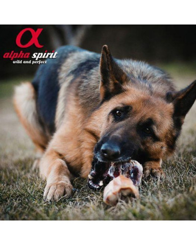 Ласощі для собак кістка Alpha Spirit Vacuum BROCHETTE (Брокета) 20 см (as90036)