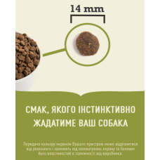 Сухий корм для собак усіх порід та стадій життя ACANA Grass-Fed Lamb Dog 17 кг (a57017)