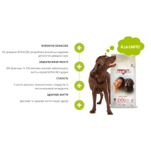 Сухий корм для дорослих малоактивних собак суперпреміум класу BonaCibo Adult Dog Form Курка 4 кг (BC406182)