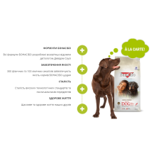 Сухой корм для взрослих собак суперпремиум класса BonaCibo Adult Dog Курица 4 кг (BC406113)