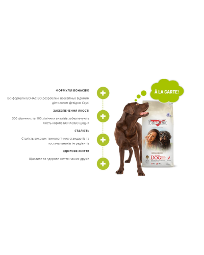 Сухий корм для дорослих собак суперпреміум класу BonaCibo Adult Dog Lamb&Rice Ягня 15 кг (BC405789)