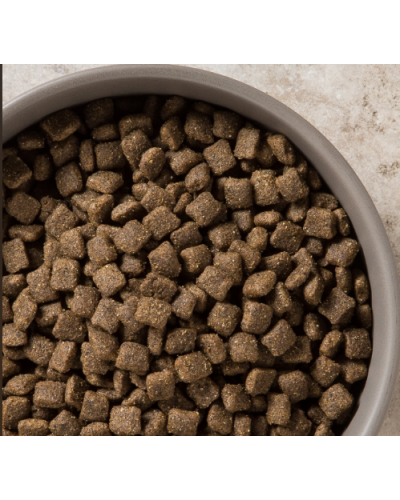 Сухой корм для взрослых собак Diamond Naturals Adult Dog Lamb&Rice Ягненок&Рис 2 кг (dn10063-HT18)