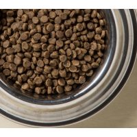 Сухий корм для дорослих собак малих порід Diamond Naturals Adult Small Breed Lamb&Rice Ягня/Рис 2 кг (dn10078-HT18)