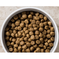 Сухий корм для цуценяк великих порід Diamond Naturals Puppy Large Breed Lamb&Rice Ягня&Рис 15 кг (dn10062-HT28)