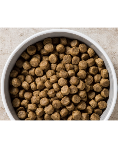 Сухий корм для цуценяк великих порід Diamond Naturals Puppy Large Breed Lamb&Rice Ягня&Рис 15 кг (dn10062-HT28)