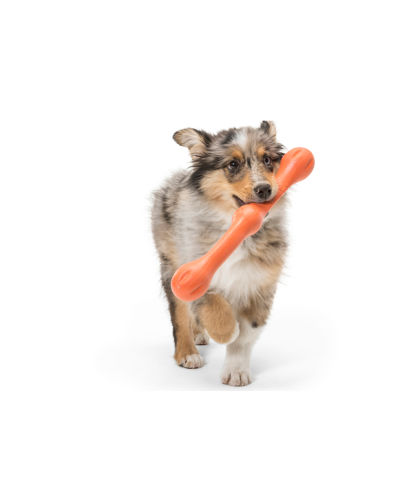 Игрушка для собак West Paw Zogoflex Echo Zwig Ветка 35 см Фиолетоввый (BZ021EGG)