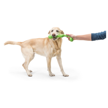 Игрушка для собак West Paw Zogoflex Echo Zwig Ветка 35 см Салатовый (BZ021JGR)