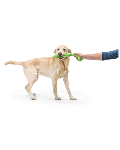 Игрушка для собак West Paw Zogoflex Echo Zwig Ветка 35 см Салатовый (BZ021JGR)