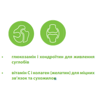 Хондропротектор Canvit Chondro для собак таблетки 100 г (can50729)