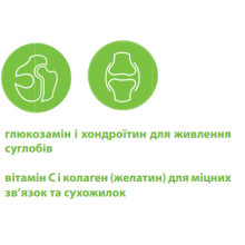 Хондропротектор Canvit Chondro Maxi для собак таблетки 230 г (can50744)