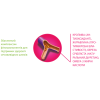 Напіввологі ласощі Canvit Urinary для профілактики інфекцій сечових шляхів для кішок 100 г (can514090)
